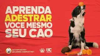Você mesmo pode ADESTRAR seu Cachorro! Nova WEBSÉRIE no Canal ComportPet