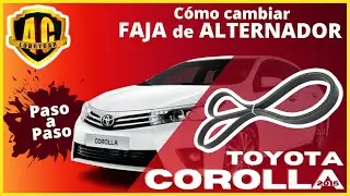 COMO CAMBIAR FAJA DE ACCESORIOS EN TOYOTA COROLLA