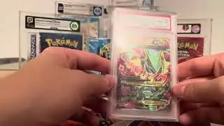 August 2023 Sammelzug&auml;nge! Pok&eacute;mon und Yugioh K&auml;ufe und 3 Karten f&uuml;r PSA!