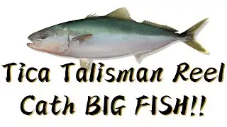 Tica Talisman TG8000H 14RRB 5.4:1 Jig/Spin Reel