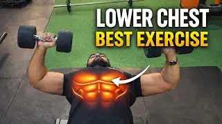 Best Lower Chest Exercises | Muscle Fitness | Fitness Tips