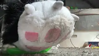 Popping inflatable Dinosaur Swim Wings