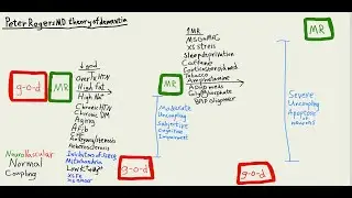 pt 16 Prevent & reverse stroke Rogers supply & demand theory of dementia