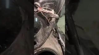 Tata  tigor  dickie Peps switch, not working wearing issue short information