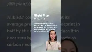 Allbirds Sustainability Flight Status: Defining 
