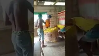 alsaha gyud na ninyo