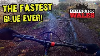 Willy Waver - The Fastest Blue @BikeParkWalesOfficial
