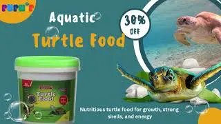 Turtle Food