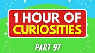 1 HOUR of MANY INTERESTING CURIOSITIES About the World🌎
