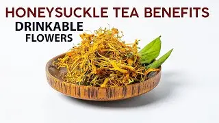 Health Benefits and History of Honeysuckle Flower Tea