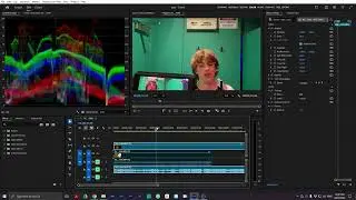 How to match bad of white balance footage to a good reference frame in premiere pro, comparison view
