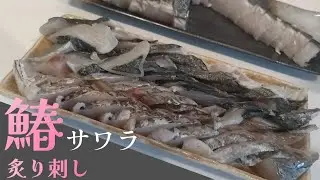 今が旬の魚を頂いたので炙っていただました。