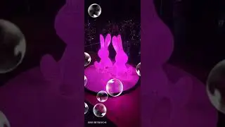 강릉에서 