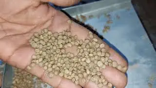 Floating Fish Feed Extruder - 25 Kg Per Hour - Cheapest Fish Feed Making Machine
