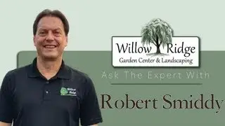 How Much Does It Cost To Hire A Landscape Design Expert