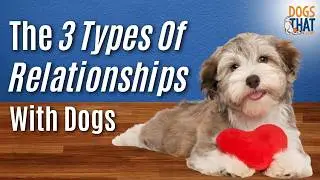 The Kind Of Relationship That Leads To Real Connection With Your Dog