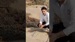 पुरातन इतिहास समेटकर लुप्त हो रहे हैं कप मा&zwnj;र्क्स #cupmarks #human #shorts