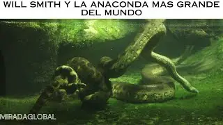 Will Smith ayuda a descubrir la anaconda m&aacute;s grande del mundo