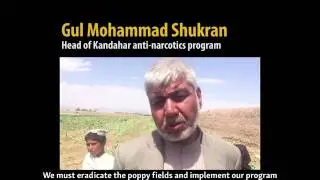 The Opium War: Afghan Government Struggles To Keep Up