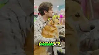 Pet Influencer Agency: Make $25k/Month!