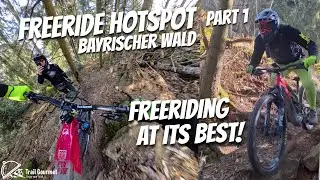 Sick Freeride Lines im Bayrischer Wald! Man I didn't expect that at all! YT Decoy