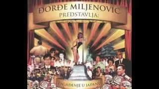 Đorđe Miljenović -  Zagadjenje u Japanu