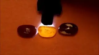 How To Tell The Difference Between Capuccino and Root Beer Jelly Belly Jelly Beans