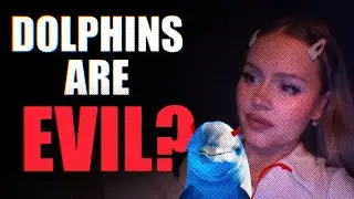 Dolphins are evil?
