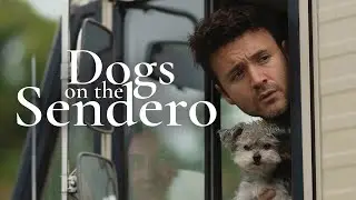 Собаки на Сендеро | Официальный трейлер