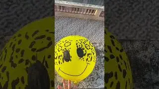 Crazy Water Balloon Drops from the Roof! 💦 POP with Needle!
