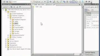 Creating an Updateable View.avi