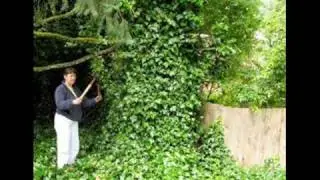 Invasive Garden Plants