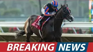 20-Cent Bet Wins $400K+ Rainbow Six Jackpot at Gulfstream Park!। USA NEWS TODAY