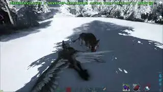 Mastering Argentavis Combat | ARK: Survival Evolved