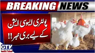 Bad News For Poultry Association | New Chicken Price? | Fines Imposed | Breaking News | GTV News