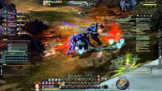 Steel Wall Bastion s-rank Kuyi (Assassin view)