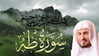 Healing Quran Recitation By  (SHEIKH ISMAIL ANNURI)