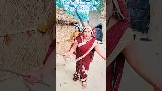 chhipkali ki aulad#short video#viral video#funny video#trending suit