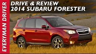 Вот обзор Subaru Forester 2014 года на Everyman Driver