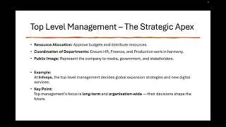 Levels of Management | Top, Middle & Lower Levels Explained | Class 12 Business Studies