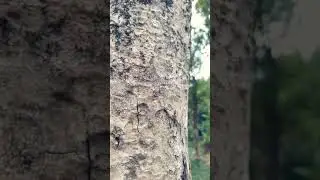 MI 10T Pro slow motion