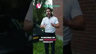 Boete voor parkeren in een park, plantsoen, openbare beplantingen of groenstrook | verkeersboete.nl