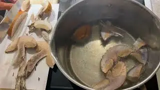 Leccinum versipelle Mutatuo coloris