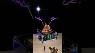 Lesson 15: fig fruit power 💪 #experiment #teslacoil #science