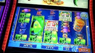 Gold Fish Feeding Time! Treasure Slot Machine GREAT WIN Bonus
