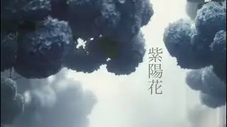 紫陽花