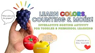 Learn Colors, Counting, & Vocabulary Words | Interactive Sorting Activity with a Real Teacher!