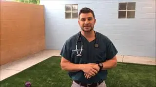 Heat Awareness Day