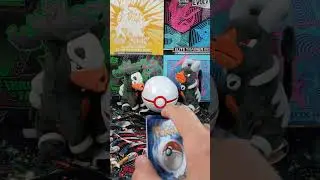 (Ep. 1182) Pok&eacute;mon TCG: Shrouded Fable Booster Pack #pokemon #shorts #asmr