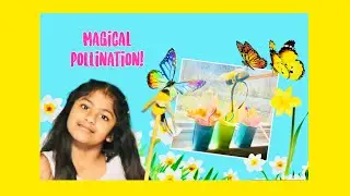 Pollination and Fertilization Science with Easy Fun Activity at Home for Kids!